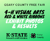Visual Arts Red & White Ribbon Exhibits
