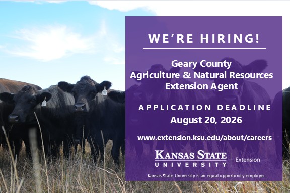 We're hiring!